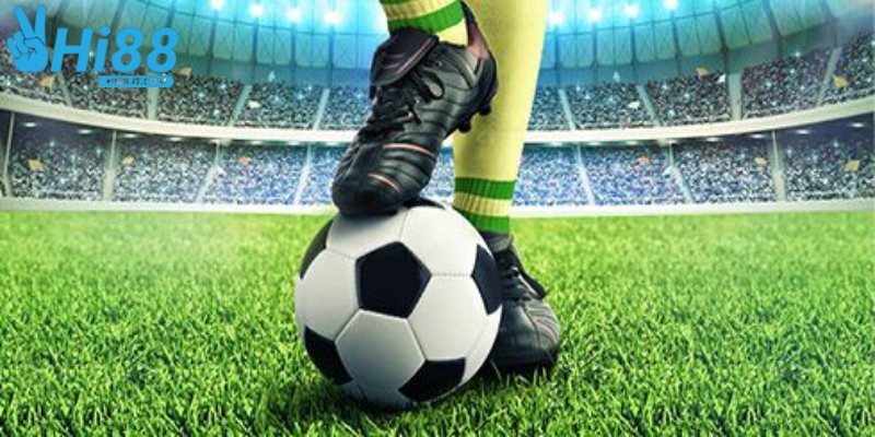 Theo dõi sự biến động của tỷ lệ kèo để có cái nhìn chuẩn xác